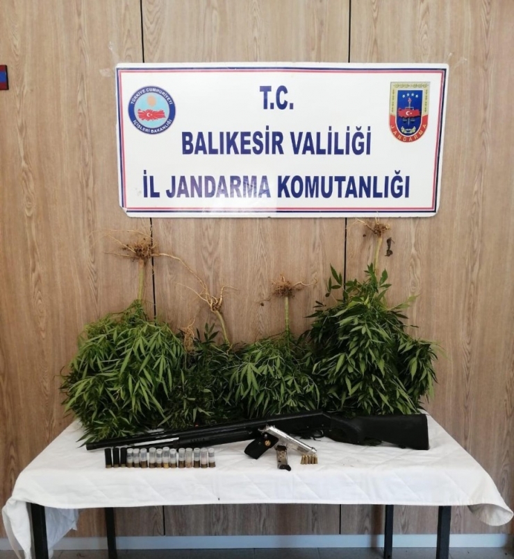 Balıkesir’de Jandarmadan Uyuşturucu Operasyonu