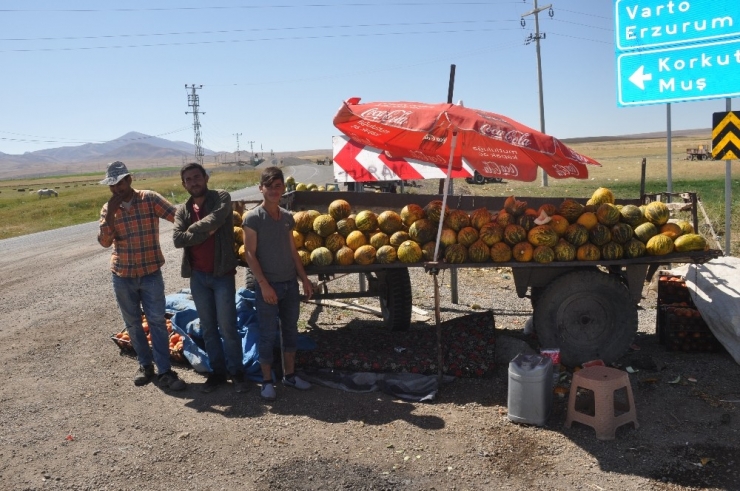 Balotu Kavunu Piyasaya Çıktı