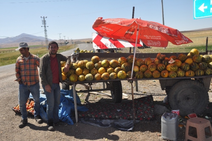 Balotu Kavunu Piyasaya Çıktı