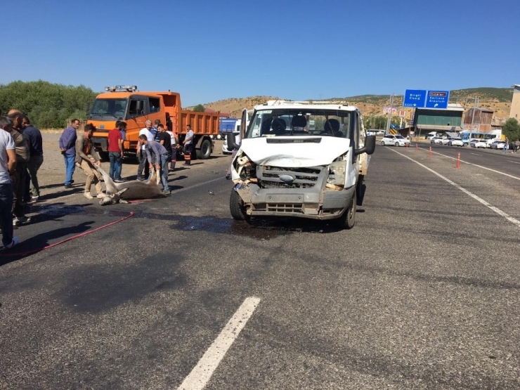 Bingöl’de Aracın Çarptığı 2 Eşek Telef Oldu