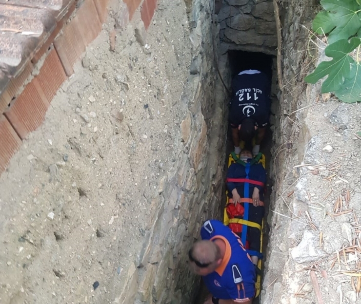 İncir Toplayayım Derken Az Kalsın Canından Olacaktı