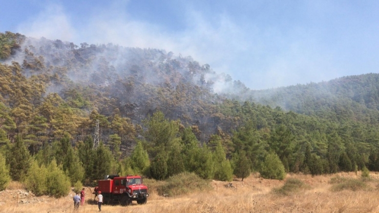 Bölgedeki Tüm Ekipler Marmaris Yangınına Sevk Edildi