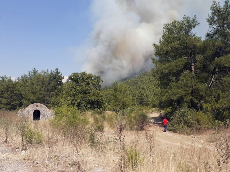 Marmaris’te Orman Yangını Başladı