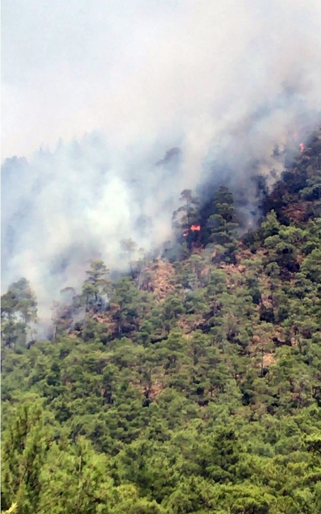 Marmaris Orman Yangınına Müdahale Sürüyor