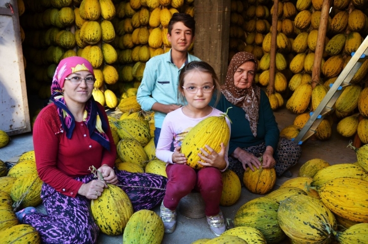 Kırkağaç’ta 30 Bin Ton Kavun Askıda