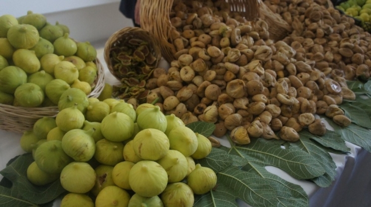 Atb Başkanı Çondur, İncire Prim Desteği İstedi