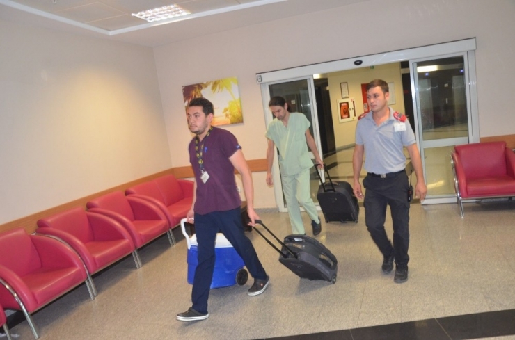 Organları 4 Hastaya Umut Oldu