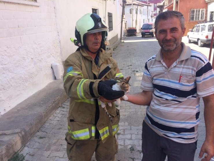 Elektrik Direğinde Mahsur Kalan Kediye İtfaiye Kurtardı