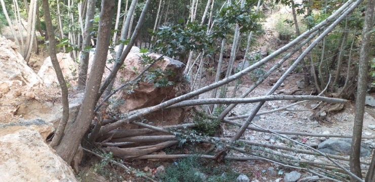 Dev Kaya Kütlesi Onlarca Ağacı Kökünden Kopardı