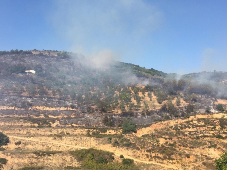 Bursa’da Korkutan Orman Yangını