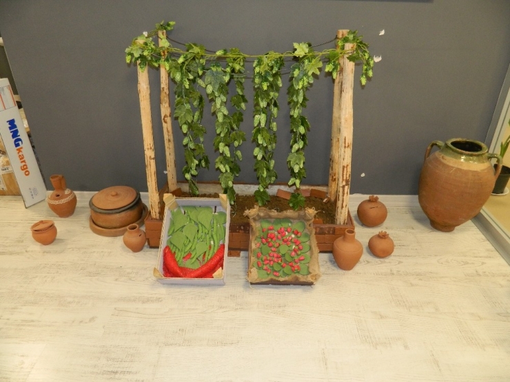 Pazaryeri’nin Ürünlerini Makamında Sergileyip Tanıtıyor