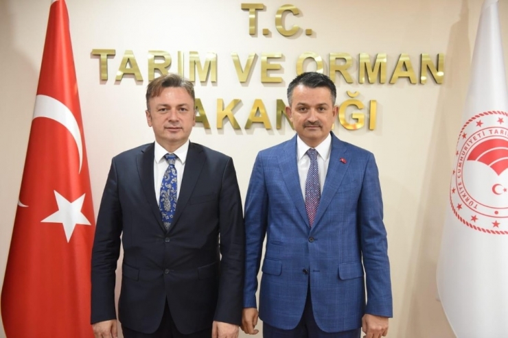 Rektör Şenocak’tan Bakanlar Pakdemirli Ve Gül’e Ziyaret