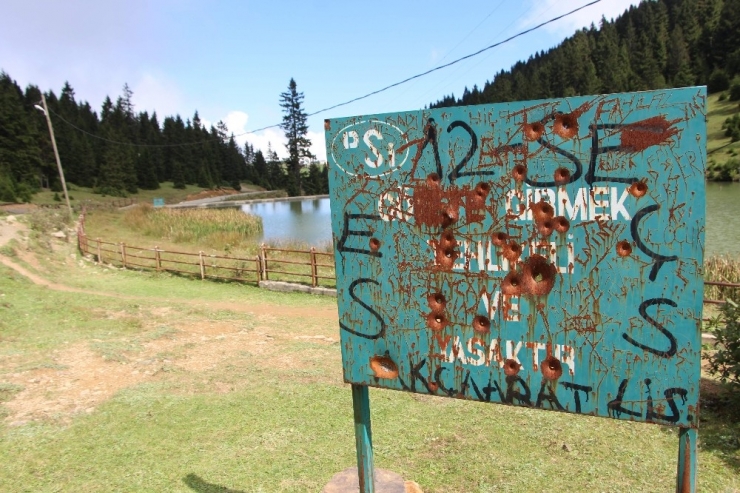 Tabelalar Magandaların Hedef Tahtası Oldu