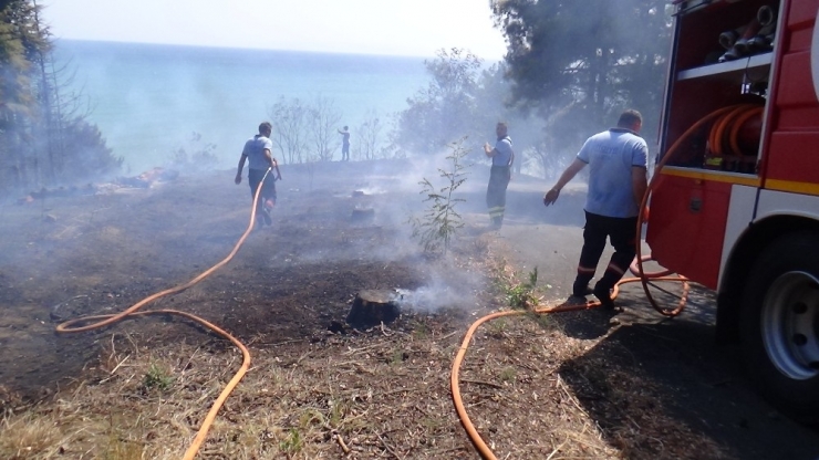 Tekirdağ’da Ormanlık Alanda Yangın