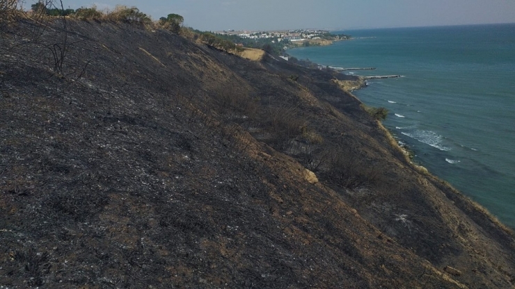Tekirdağ’da Ormanlık Alanda Yangın
