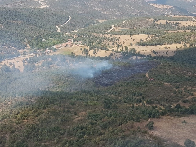 Uşak’ta Orman Yangını