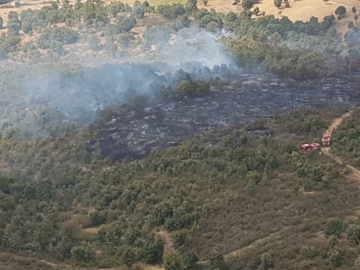 Uşak’ta Orman Yangını