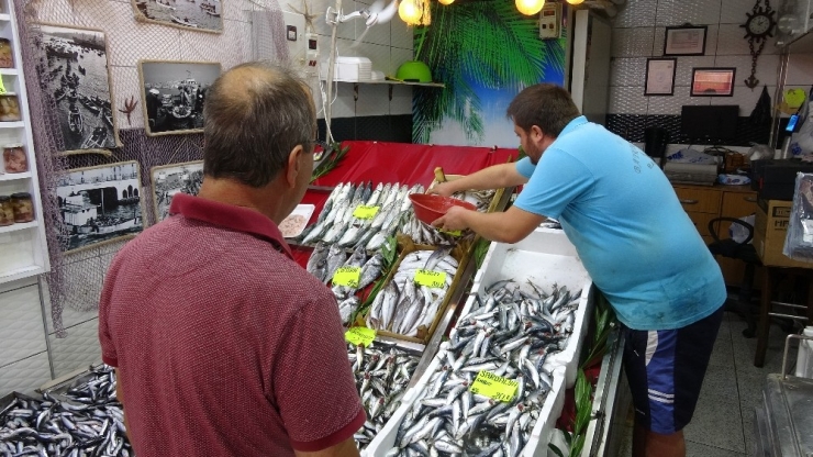 Balıkçılarda Çeşit Arttı, Fiyat Düştü