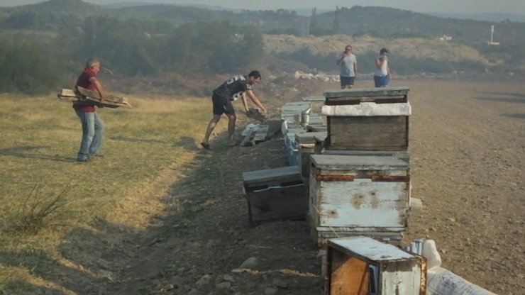 Burhaniye’ De Çalılık Yangını Büyük Korkuya Neden Oldu