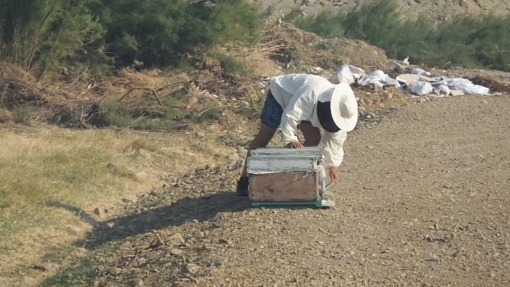 Burhaniye’ De Çalılık Yangını Büyük Korkuya Neden Oldu