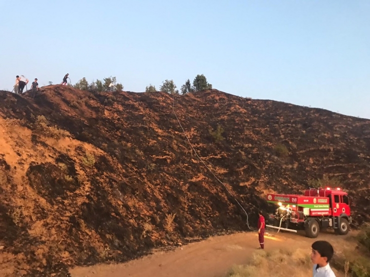 Bingöl’de 5 Dönümlük Alan Yandı