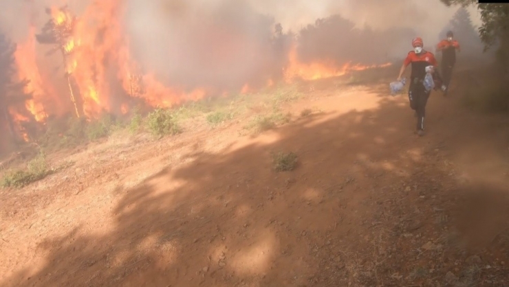 Bursa’daki Orman Yangınlarının Failleri Yakalandı