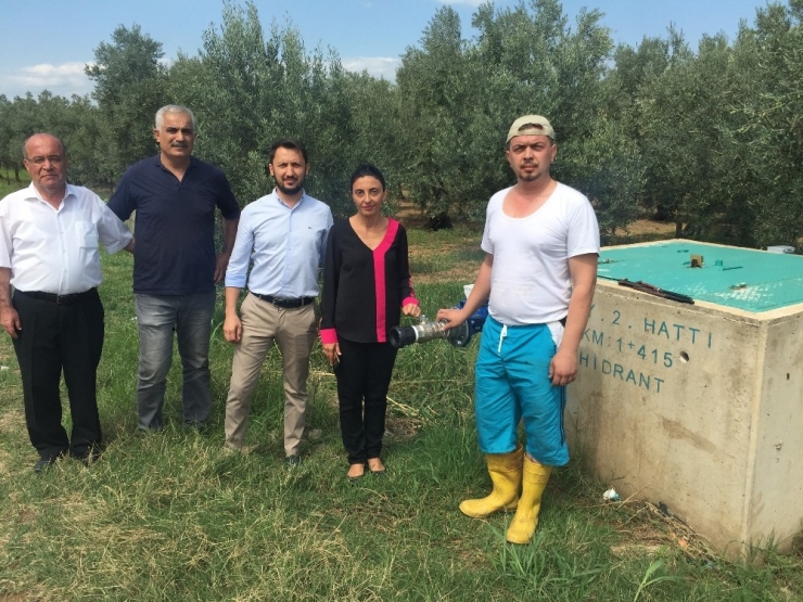 “Dsi’nin Kanaletleri Sürekli Patlıyor, Sulama Kanalı Çiftçiyi Çileden Çıkarıyor”