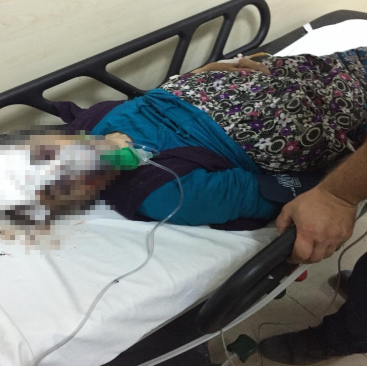 Esenyurt’ta Otomobilin Çarptığı Yaşlı Kadın Hastanede Yaşam Mücadelesi Veriyor