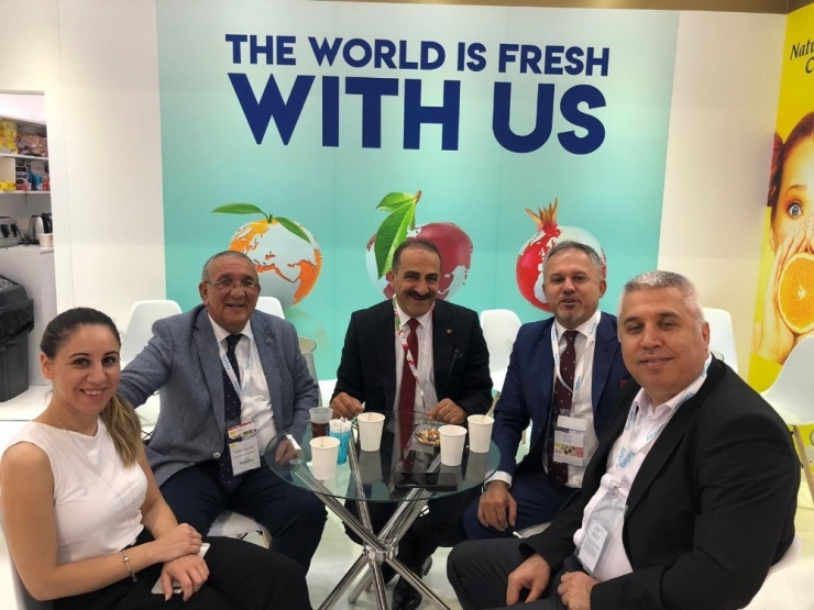 Taze Siyah İncir Çin Pazarında Talep Gördü