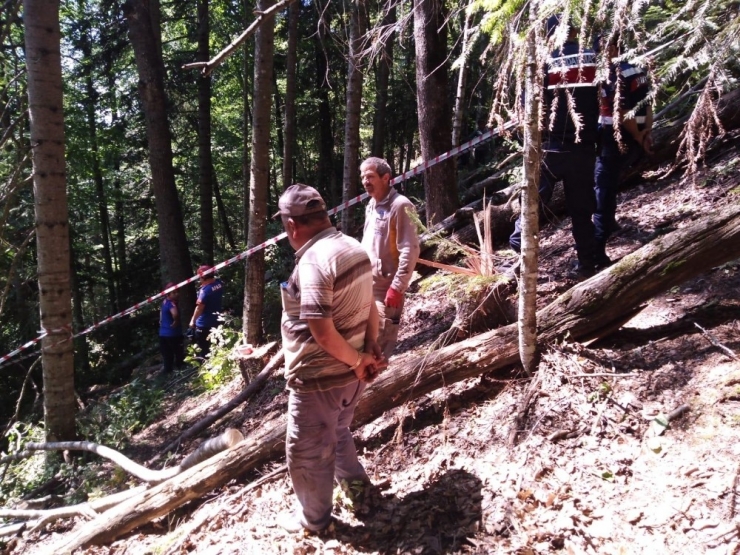 Üzerine Ağaç Devrilen Şahıs Hayatını Kaybetti