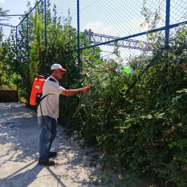 Körfez’de İlaçlama Ve Ot Biçme Çalışmaları Sürüyor