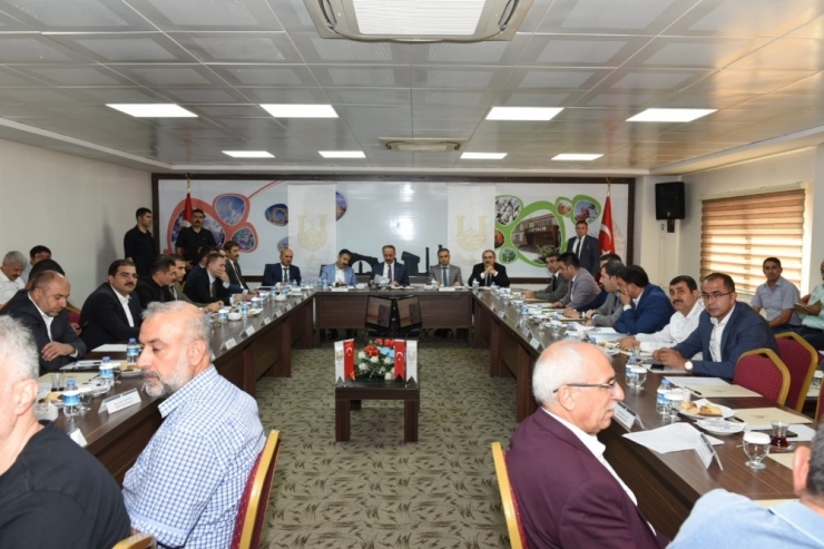 Türkiye’nin En Büyük Ağaçlandırma Kampanyası Başlıyor