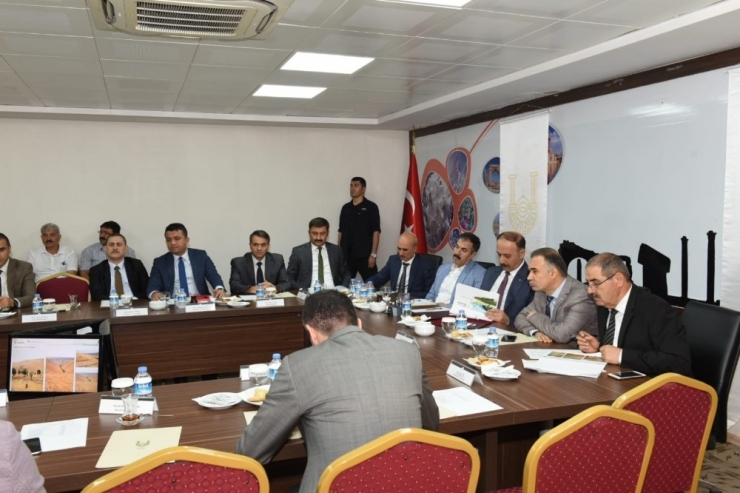 Türkiye’nin En Büyük Ağaçlandırma Kampanyası Başlıyor