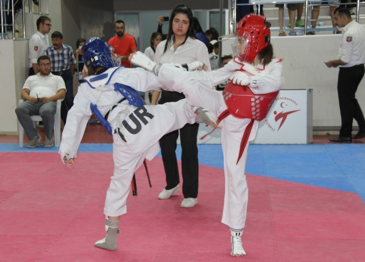 Taekwondo Türkiye Şampiyonası Sivas’ta Başladı