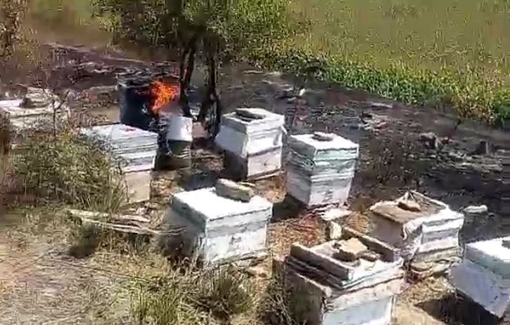 Tekirdağ’da 40 Sandık Arı Kovanı Yandı