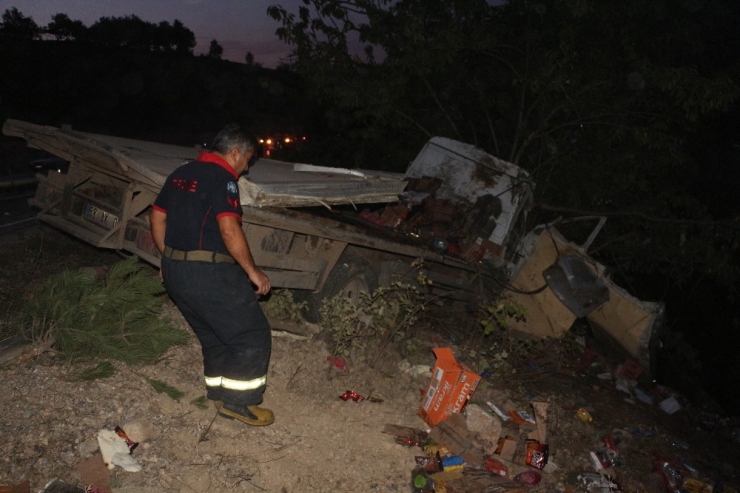 Uçuruma Düşmekten Ağaç Kurtardı