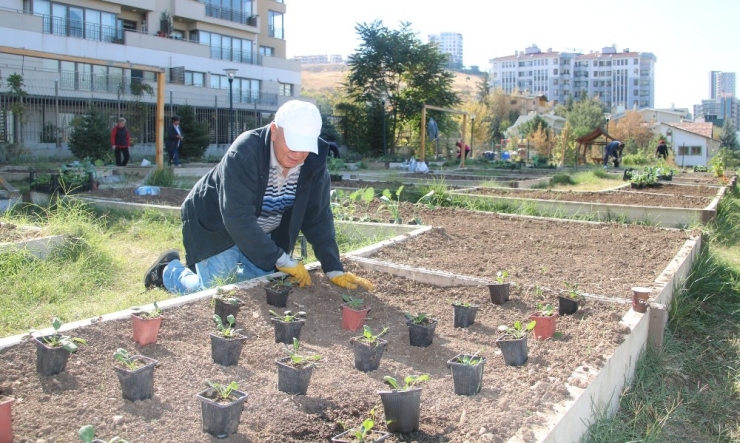 Kent Tarımda 2019 Sonbahar Sezonu İçin Kayıtlar Başladı