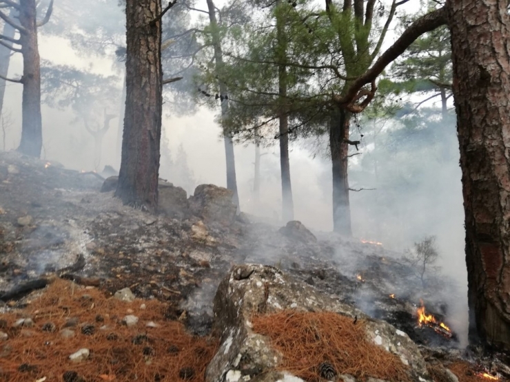 Adana’da Orman Yangını