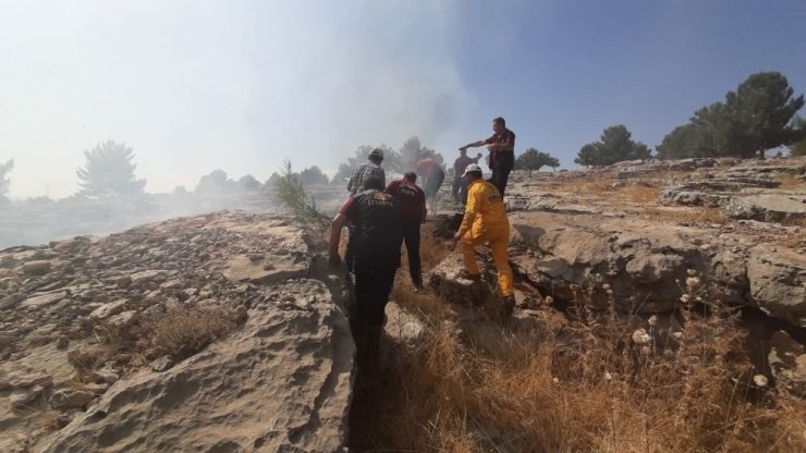 Adıyaman’da Orman Yangını