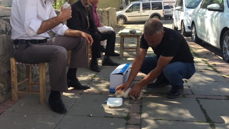 Motora Giren Kediyi Kurtarıp Sütle Beslediler
