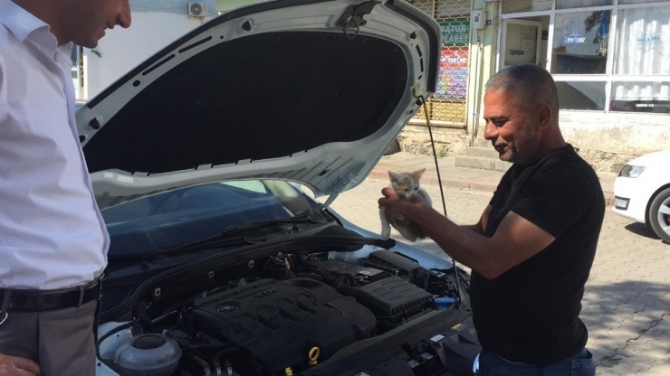 Motora Giren Kediyi Kurtarıp Sütle Beslediler