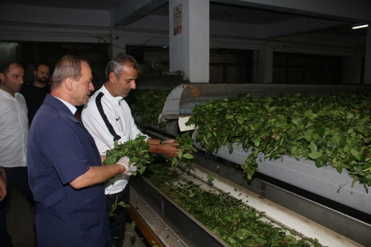 Atmacalar Çayı Yerinde İnceledi