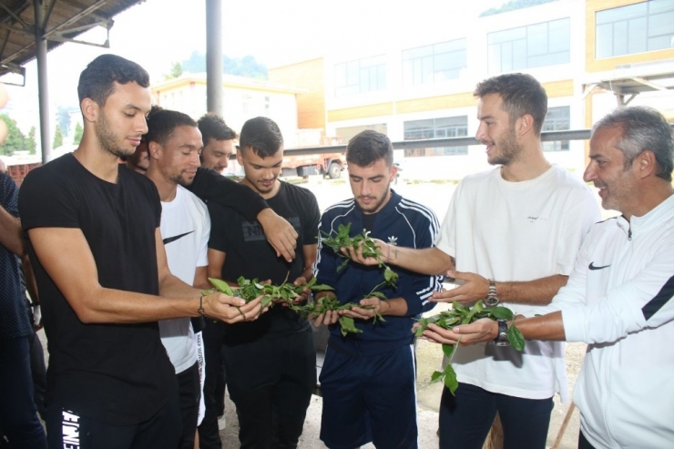 Atmacalar Çayı Yerinde İnceledi