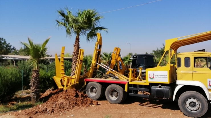 Kavşak Çalışmasında Ağaç Titizliği