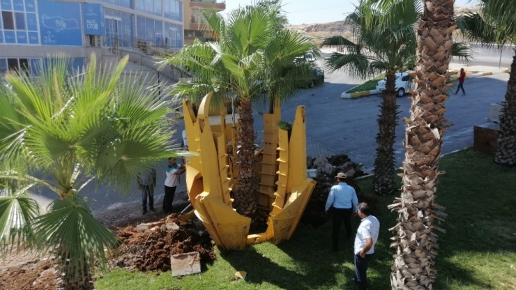 Kavşak Çalışmasında Ağaç Titizliği