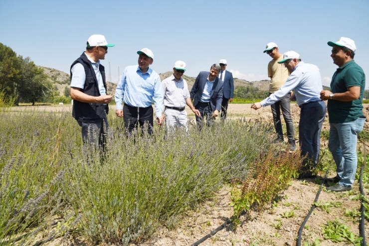 Esogü Rektörü Şenocak’tan Orman Bölge Müdürlüğüne Ziyaret