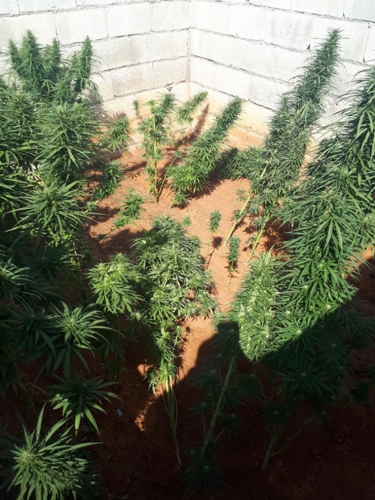 Gaziantep’te Uyuşturucu Operasyonu: 7 Gözaltı