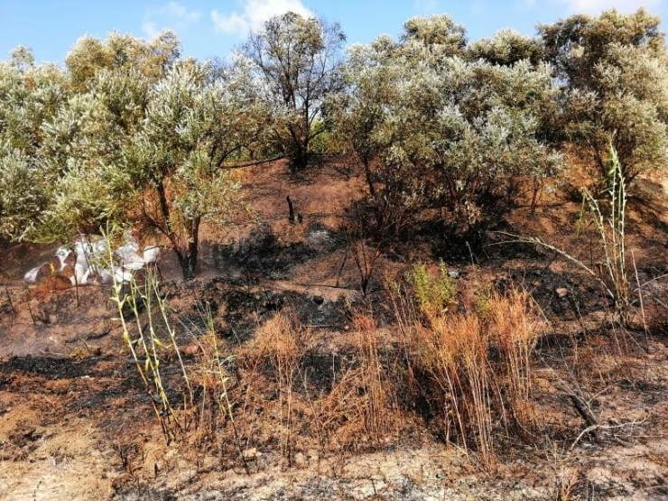 Samandağ’da Bahçe Yangını