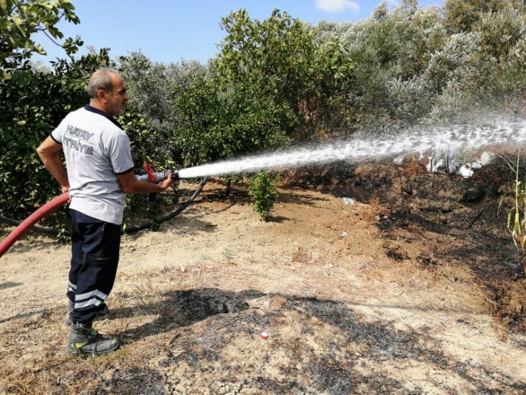 Samandağ’da Bahçe Yangını