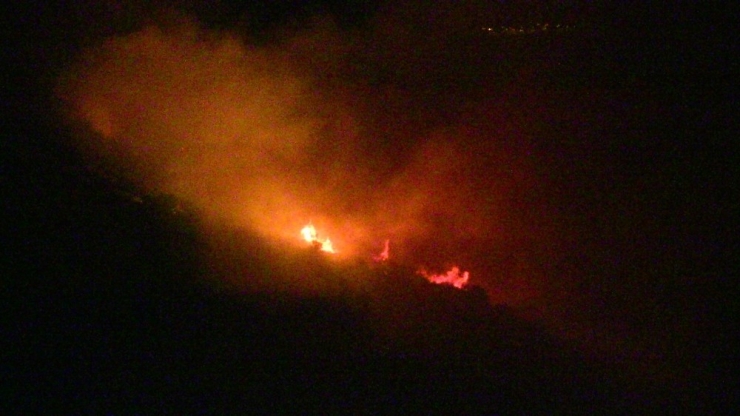 Samandağ’da Orman Yangını